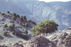 Landscape at the Tizi-n-Test pass between Marrakesh and Taroudannt, Morocco