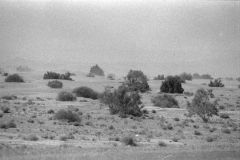 Sahara sand dunes at the Wadi Draa near Mhamid, Morocco