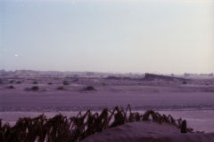 Sahara sand dunes at the Wadi Draa near Mhamid, Morocco