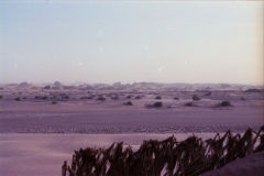 Sahara sand dunes at the Wadi Draa near Mhamid, Morocco