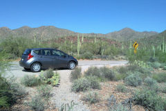 Landscape in Saguaro National Park Arizona, USA