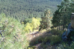 Landscape at the Tonto National Forest, Arizona, USA