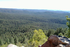 Landscape at the Tonto National Forest, Arizona, USA