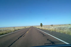 On the road through the Tonto National Forest, Arizona, USA