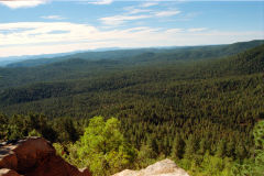Landscape in Tonto National Forest, Arizona, USA