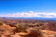 Landscape at the Canyonlands National Park, Utah, USA