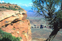 Landscape at the Canyonlands National Park, Utah, USA