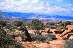 Landscape at the Canyonlands National Park, Utah, USA