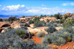 Landscape at the Canyonlands National Park, Utah, USA