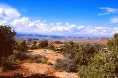 Landscape at the Canyonlands National Park, Utah, USA