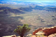 Landscape at the Canyonlands National Park, Utah, USA