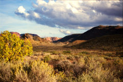 Landscape at Arches National Park, Utah, USA