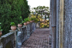 Sunny day around our house at new years eve 2016  in Sicily, Italy