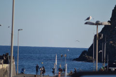 First day of 2017 in Aci Trezza (Riviera Dei Ciclopi) in Sicily, Italy