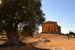 At the historic site of the Valley of Temples in Agrigent, Sicily, Italy