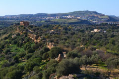 At the historic site of the Valley of Temples in Agrigent, Sicily, Italy