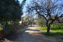 At the historic site of the Valley of Temples in Agrigent, Sicily, Italy