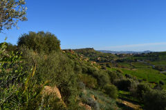 At the historic site of the Valley of Temples in Agrigent, Sicily, Italy