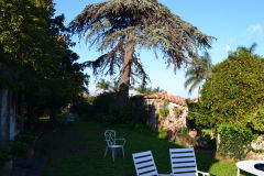 One part of the garden of our house in Sicily, Italy