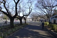 Inside a park in Tokyo, Japan