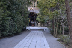 In a park in Kamakura, Japan
