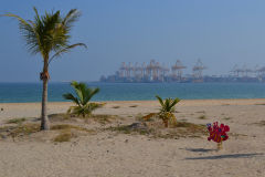 Landscape at the Arabian Sea in the United Arab Emirates