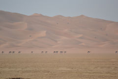 Landscape in the Rub al-Chali near the border of Oman in the United Arab Emirates