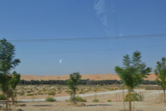 Landscape in the Rub al-Chali at the Oasis Liwa in the United Arab Emirates