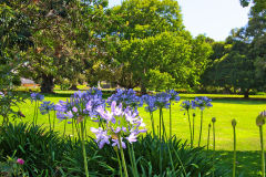 View of the Botanical Garden Sydney, Australia