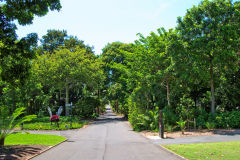 View of the Botanical Garden Sydney, Australia