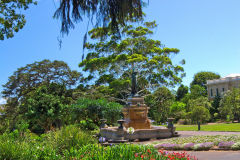 View of the Botanical Garden Sydney, Australia