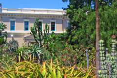 View of the Botanical Garden Sydney, Australia