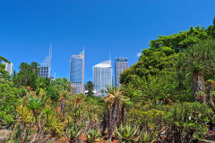 View of the Botanical Garden Sydney, Australia