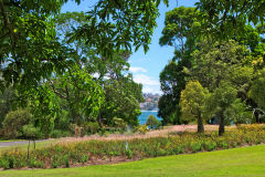 View of the Botanical Garden Sydney, Australia