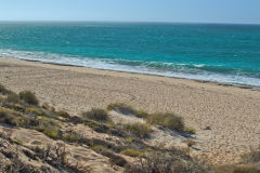 Turtle tracks at the beach in the Cape Range National Park