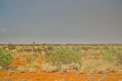 Landscape in the Outback between Coral Bay and Tom Price in Western Australia