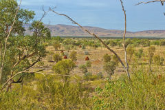 Landscape in the Karajini National Park, Western Australia