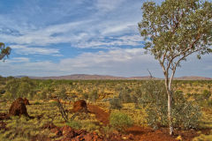 Landscape in the Karajini National Park, Western Australia