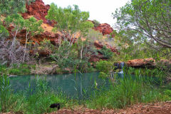 Fern Pool in the Dale Gorge in the Karijini National Park, Western Australia