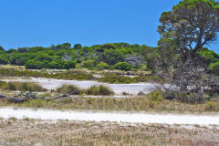 Scene at Rottnest Island, Western Australia