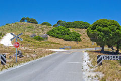 Scene at Rottnest Island, Western Australia