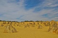 Landscape in the Pinnacles National Park, Western Australia