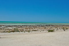 Beach of Hamelin Pool at Shark Bay in Western Australia