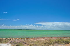 The beach at Denham, Western Australia