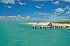 Monkey Mia at Shark Bay, Western Australia