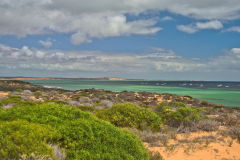 Monkey Mia at Shark Bay, Western Australia