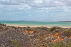 Shell Beach at Shark Bay, Western Australia