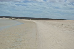 Shell Beach at Shark Bay, Western Australia