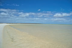 Shell Beach at Shark Bay, Western Australia