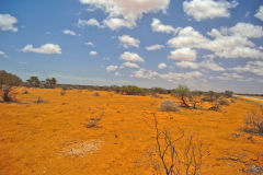 Landscape in the Outback north of Shark Bay, Western Australia